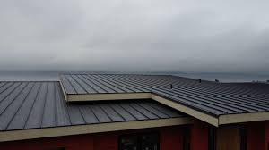 Best Roof Insulation Installation  in Mogul, NV